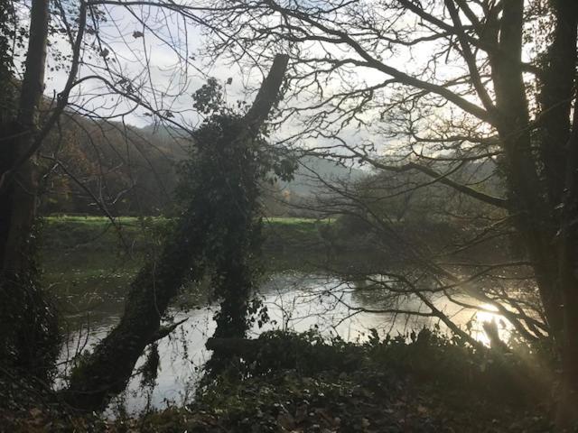 Riverside Stay Gunnislake Екстериор снимка