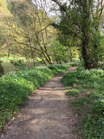 Riverside Stay Gunnislake Екстериор снимка