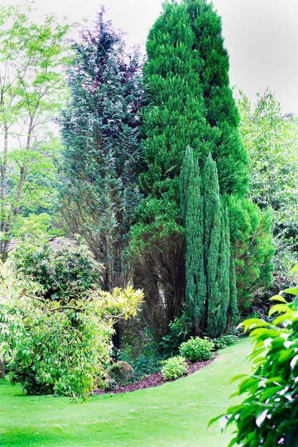Riverside Stay Gunnislake Екстериор снимка